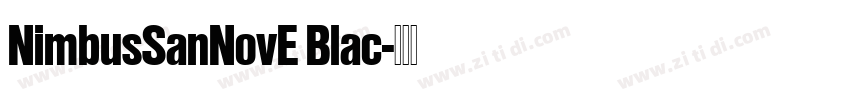 NimbusSanNovE Blac字体转换